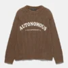 Brauner Autonomous-Pullover Brauner Autonomous-Pullover